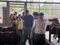 Kembre Goshala visit conducted by Dr Gourish Paukone maam - Kara Seva Shivir, SCM Shirali, 2025 - Day 4 (31 Dec 2025)